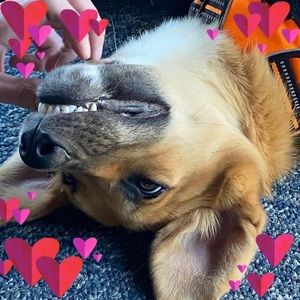 Meet your Posher, Pam